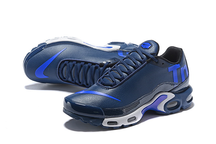 Nike Air Max TN Plus men shoes-416