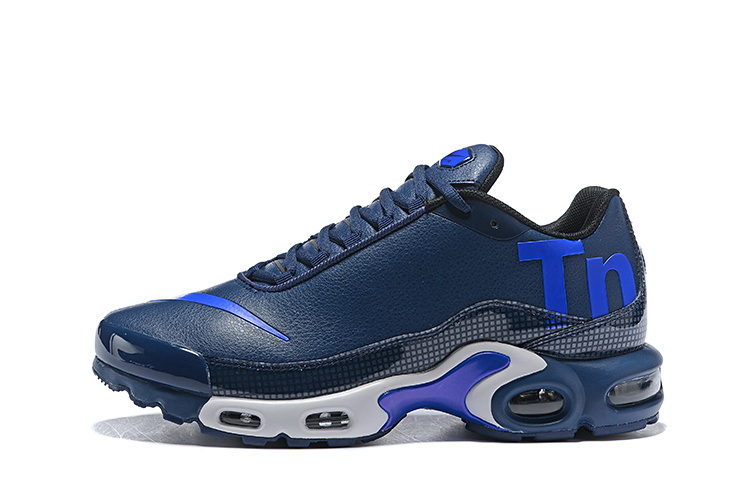 Nike Air Max TN Plus men shoes-416