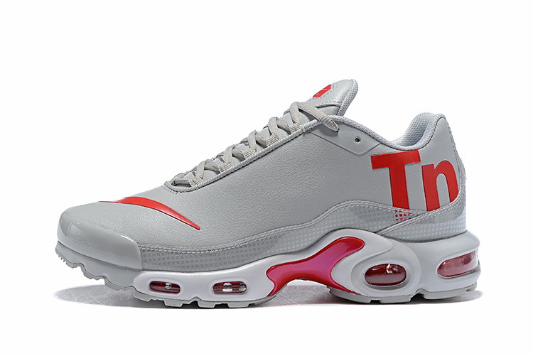 Nike Air Max TN Plus men shoes-419