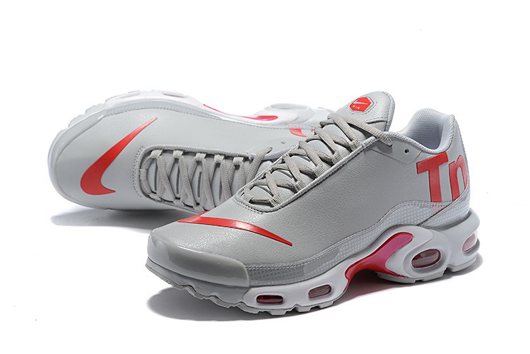 Nike Air Max TN Plus men shoes-419