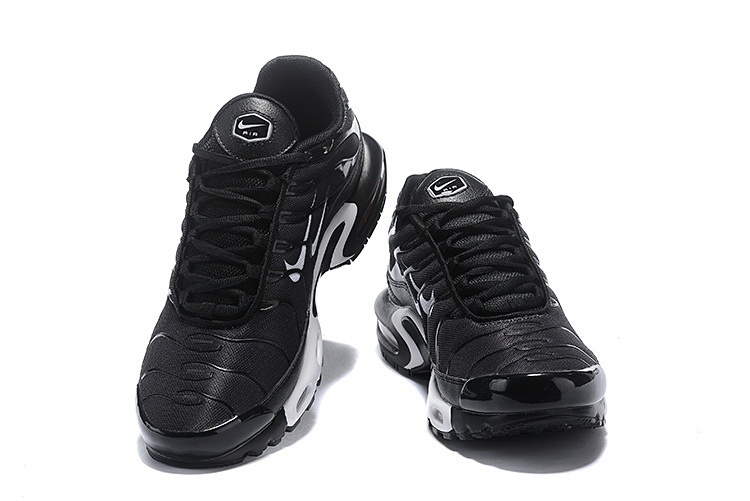 Nike Air Max TN Plus men shoes-425