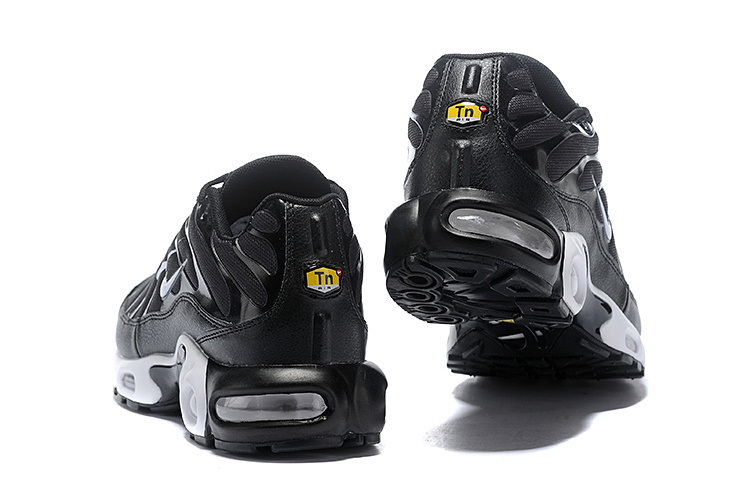 Nike Air Max TN Plus men shoes-425