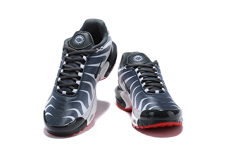 Nike Air Max TN Plus men shoes-430