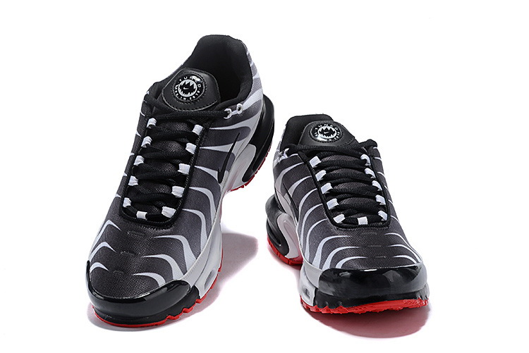 Nike Air Max TN Plus men shoes-431