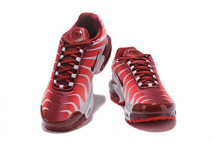 Nike Air Max TN Plus men shoes-432