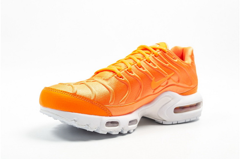 Nike Air Max TN Plus men shoes-469