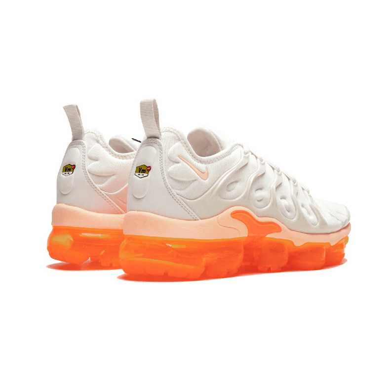 Nike Air Max TN Plus men shoes-474