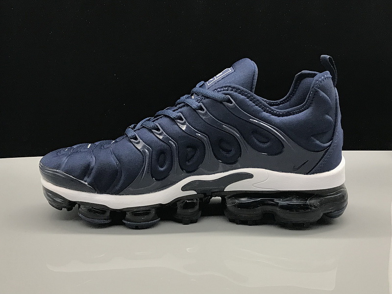 Nike Air Max TN Plus men shoes-490