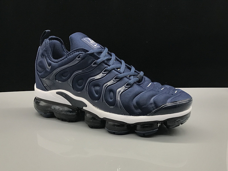 Nike Air Max TN Plus men shoes-490