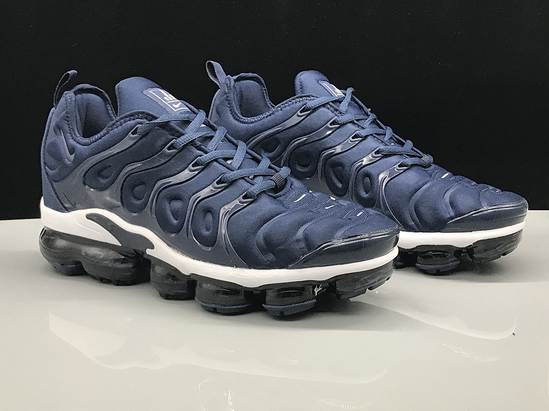 Nike Air Max TN Plus men shoes-490