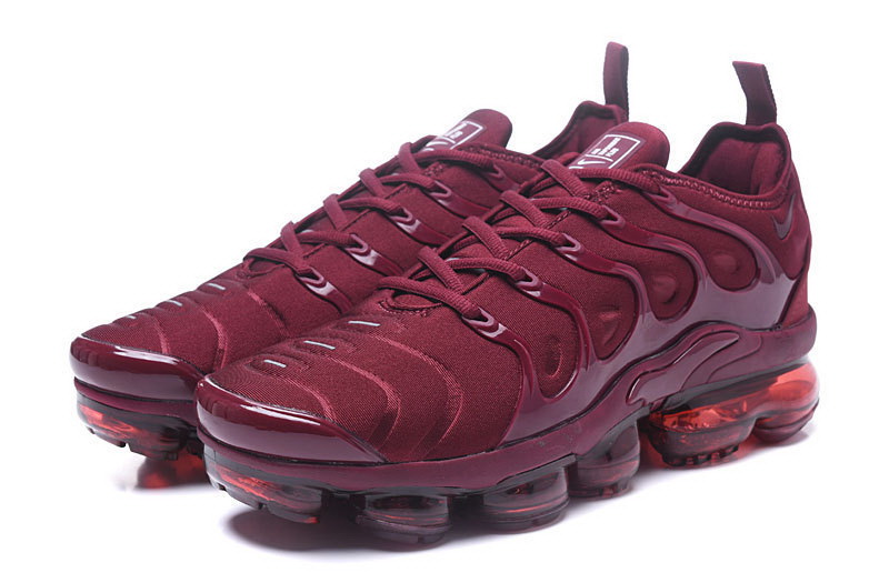 Nike Air Max TN Plus men shoes-491