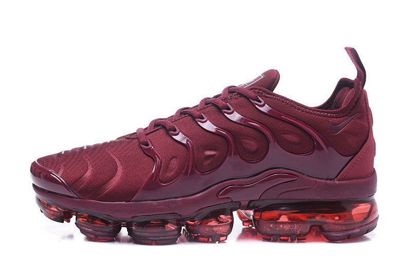 Nike Air Max TN Plus men shoes-491