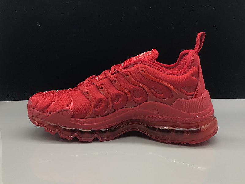 Nike Air Max TN Plus men shoes-505