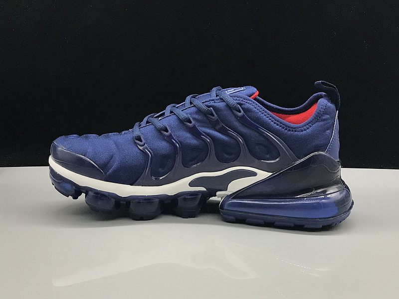 Nike Air Max TN Plus men shoes-538