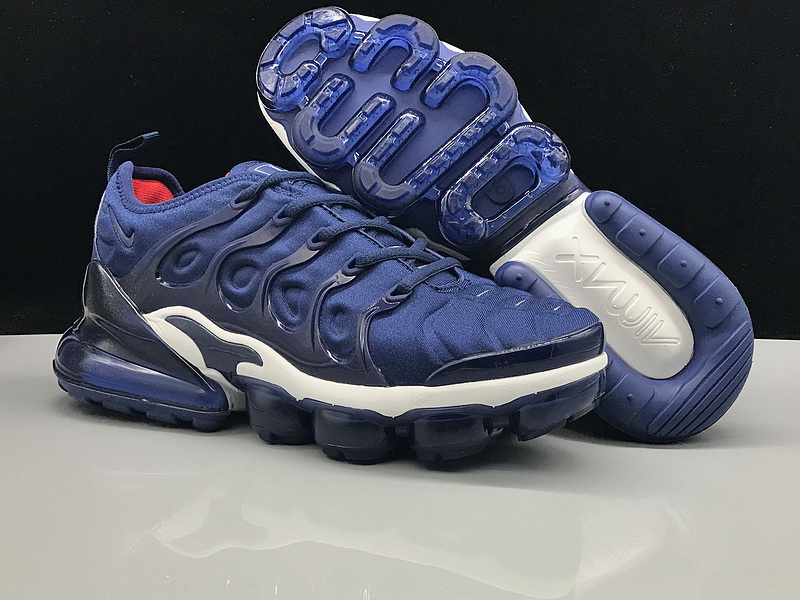 Nike Air Max TN Plus men shoes-538