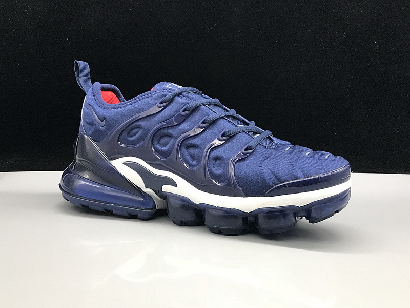 Nike Air Max TN Plus men shoes-538