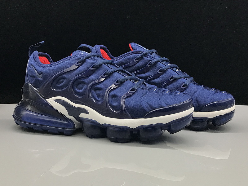 Nike Air Max TN Plus men shoes-538