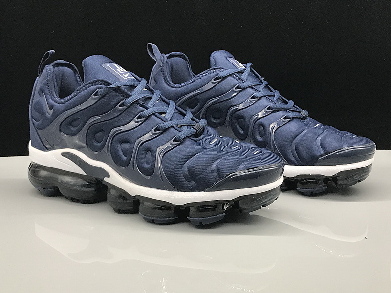 Nike Air Max TN Plus men shoes-545