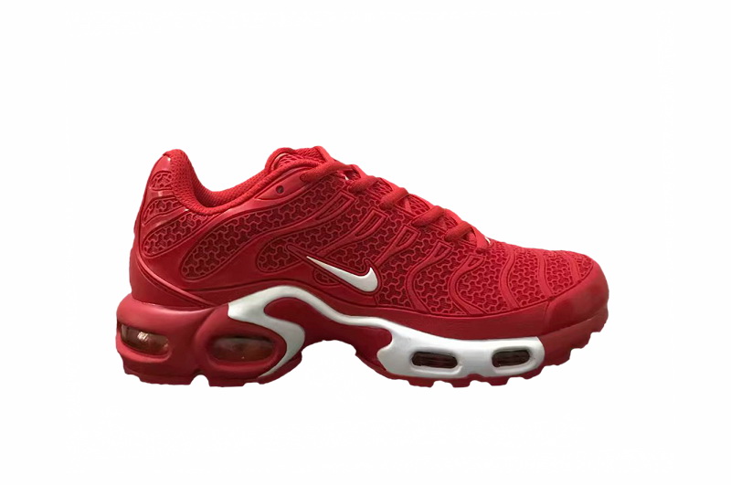 Nike Air Max TN Plus men shoes-568