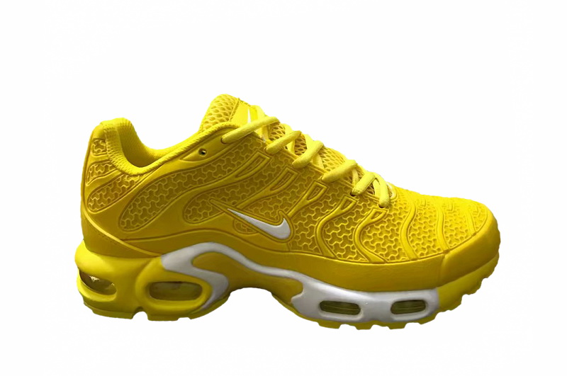 Nike Air Max TN Plus men shoes-569