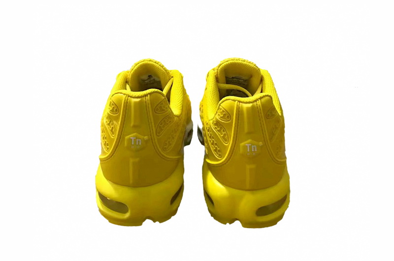 Nike Air Max TN Plus men shoes-569