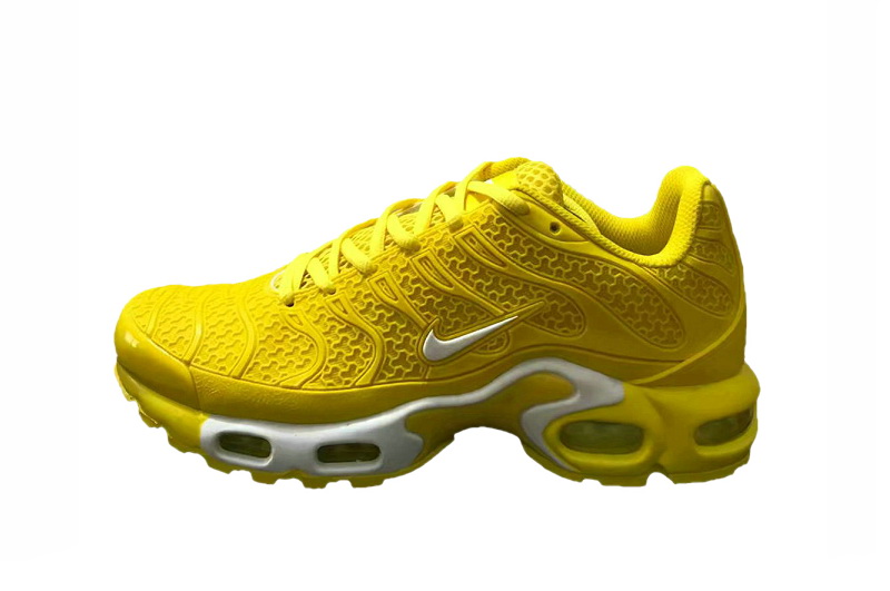 Nike Air Max TN Plus men shoes-569