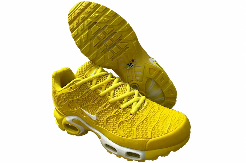 Nike Air Max TN Plus men shoes-569