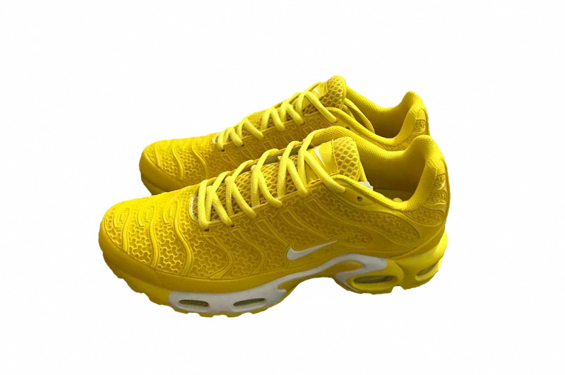 Nike Air Max TN Plus men shoes-569