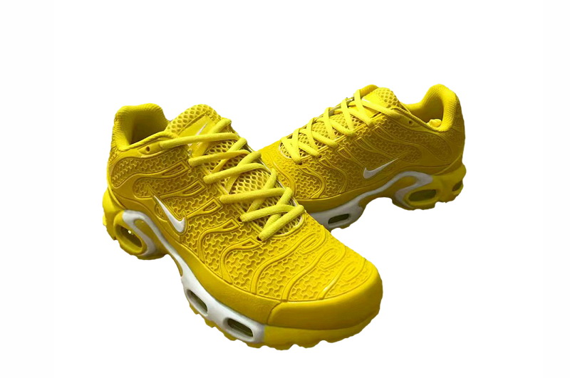 Nike Air Max TN Plus men shoes-569