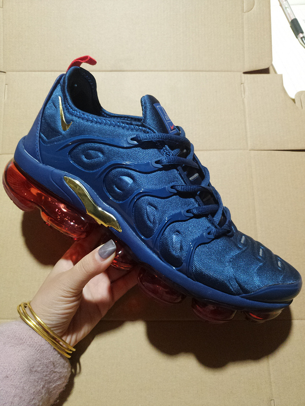 Nike Air Max TN Plus men shoes-605