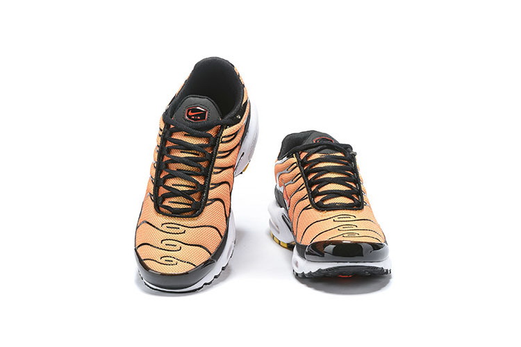 Nike Air Max TN Plus men shoes-622