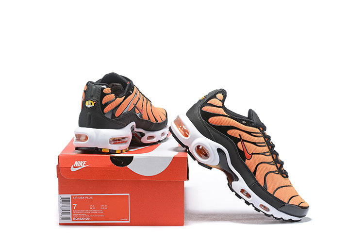 Nike Air Max TN Plus men shoes-622