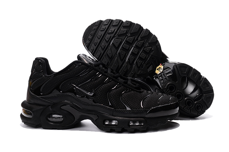 Nike Air Max TN men shoes-005