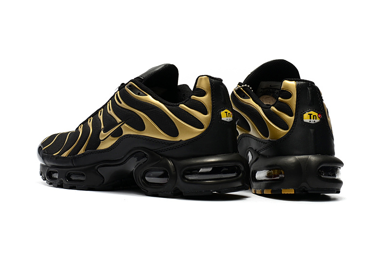 Nike Air Max TN men shoes-010