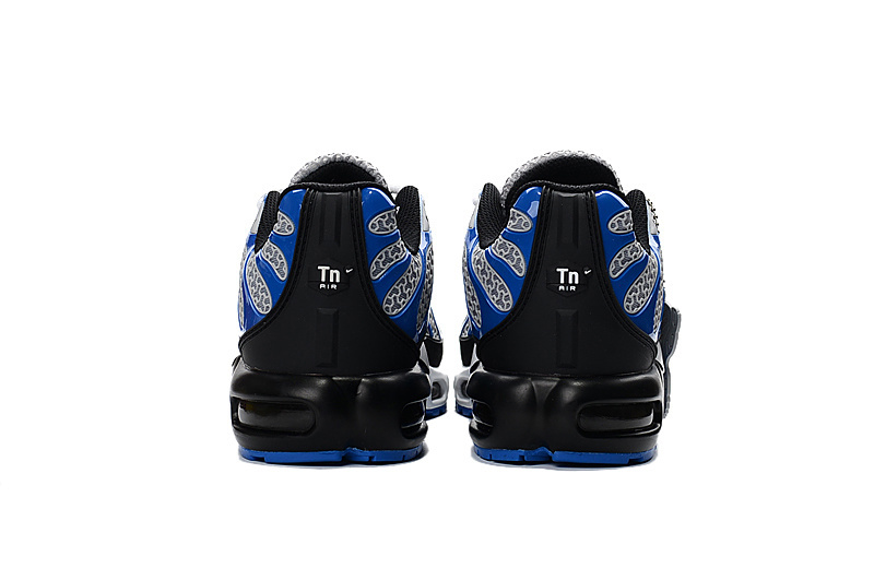 Nike Air Max TN men shoes-019