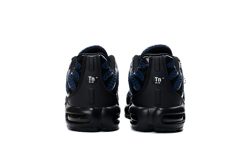 Nike Air Max TN men shoes-020