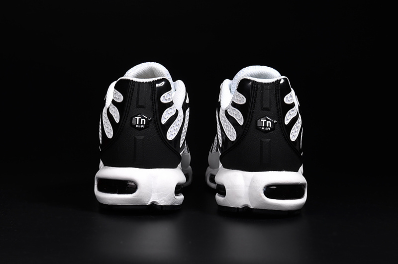 Nike Air Max TN men shoes-023