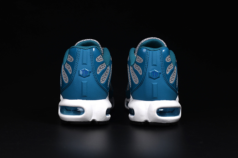 Nike Air Max TN men shoes-026