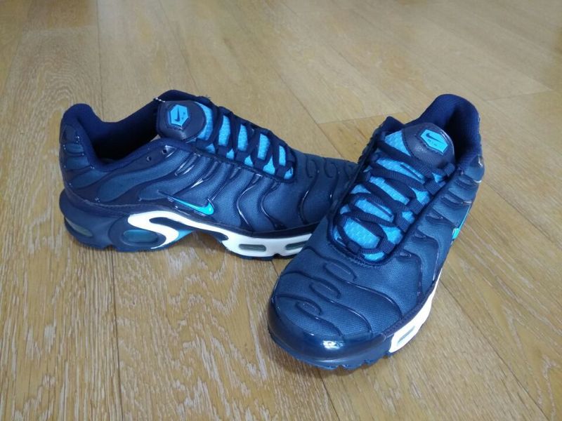 Nike Air Max TN men shoes-037