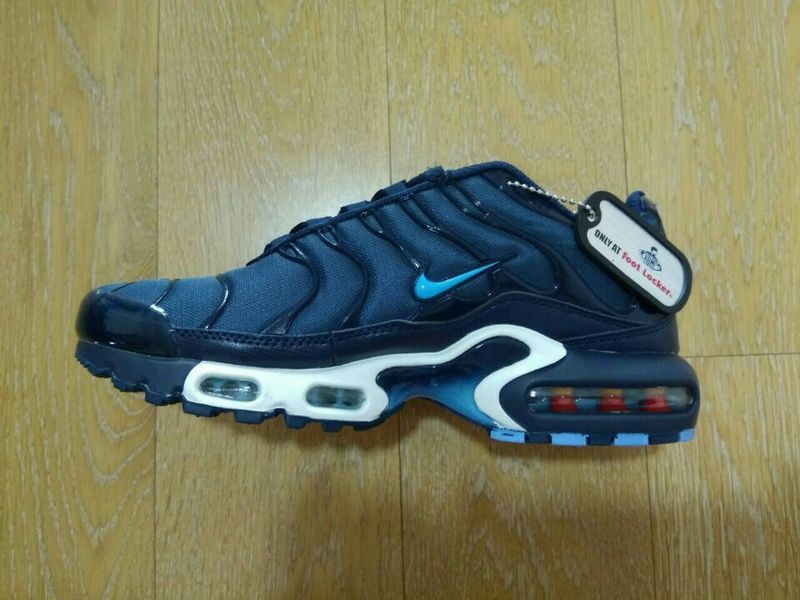 Nike Air Max TN men shoes-037