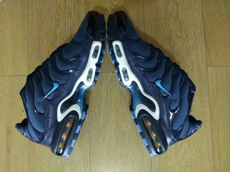 Nike Air Max TN men shoes-037