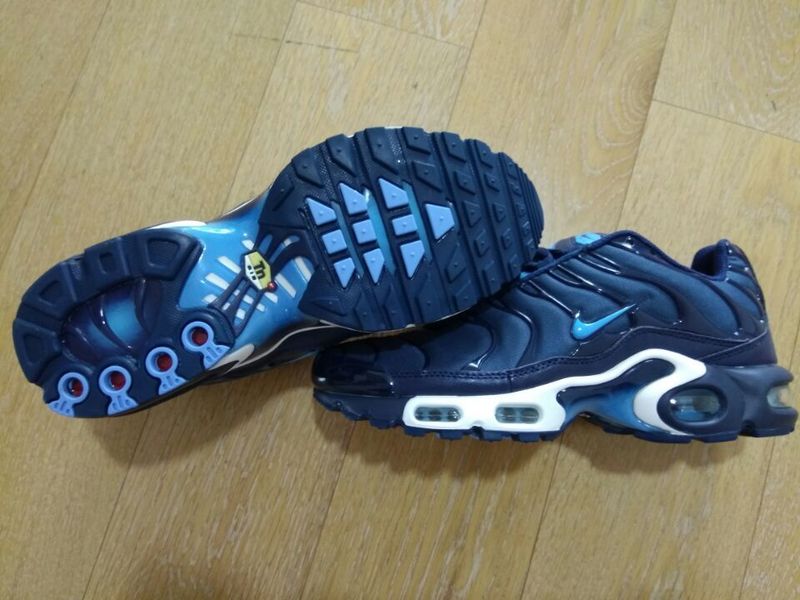 Nike Air Max TN men shoes-037