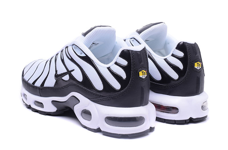 Nike Air Max TN men shoes-076