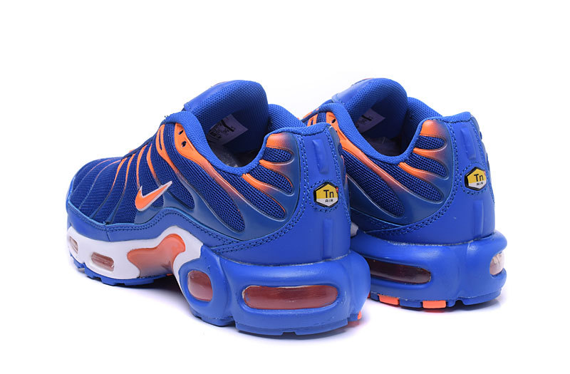 Nike Air Max TN men shoes-079