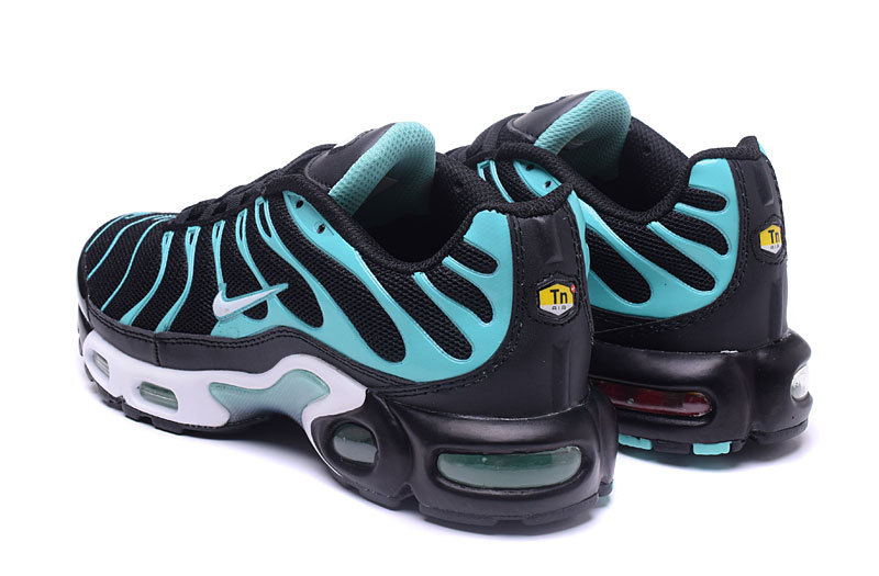 Nike Air Max TN men shoes-082