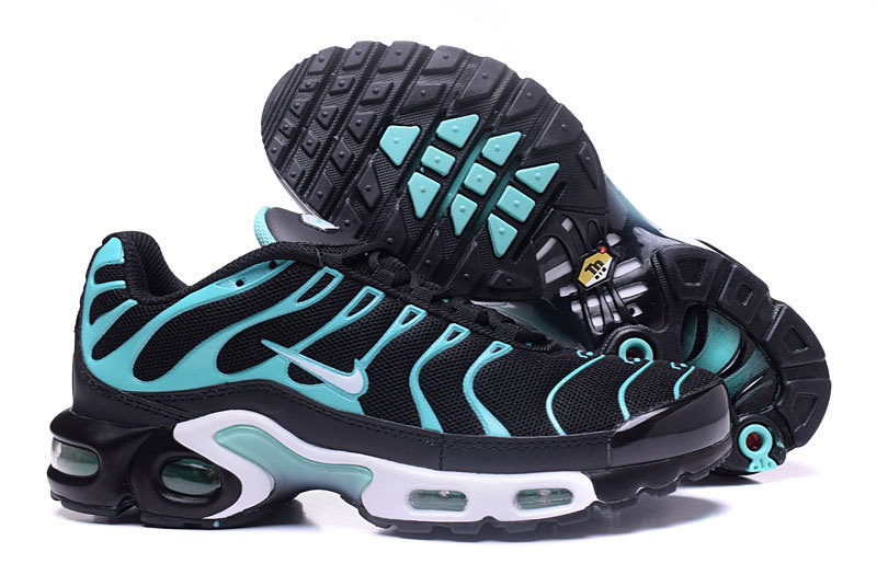 Nike Air Max TN men shoes-082