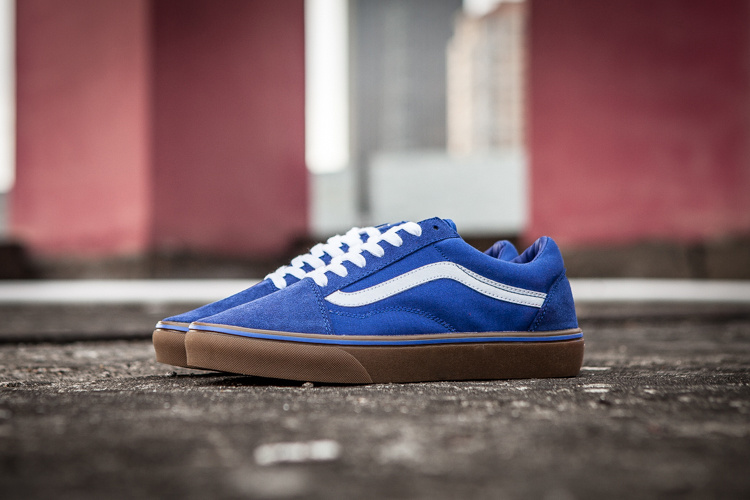 Vans Era Low Top Shoes-022