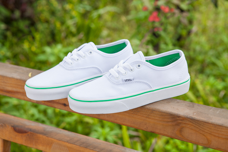 Vans Era Low Top Shoes-104