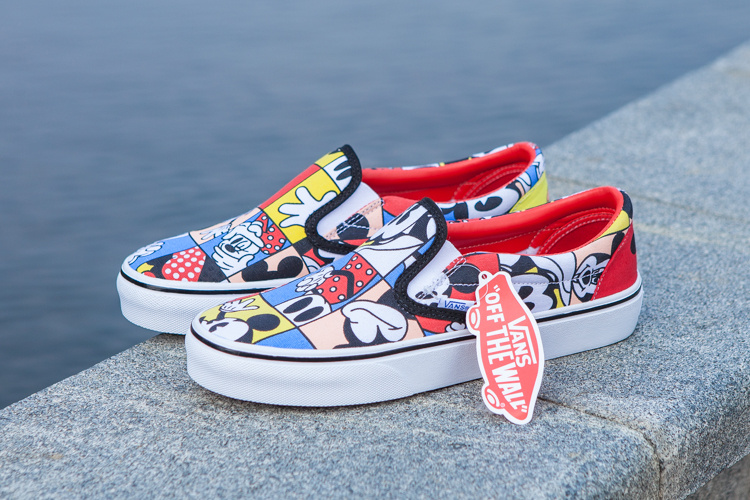 Vans Era Low Top Shoes-105