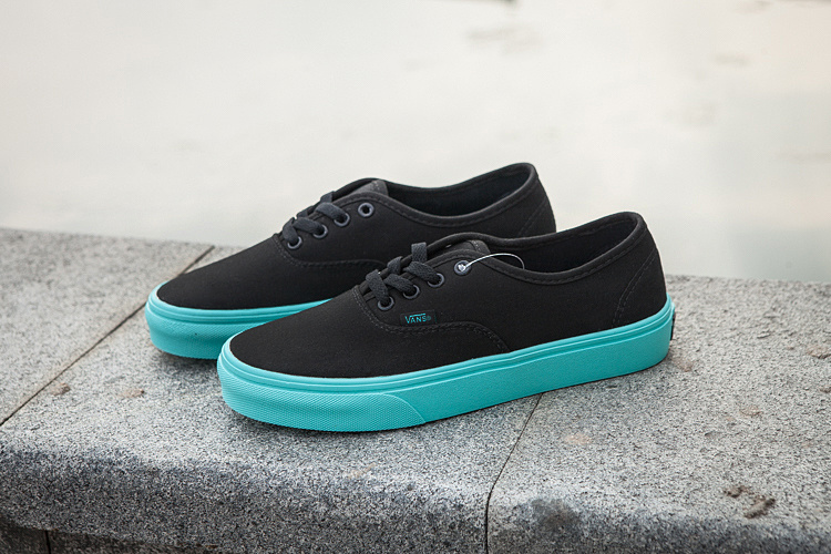 Vans Era Low Top Shoes-109